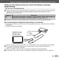 Страница 43