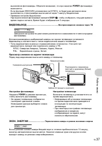 Страница 37