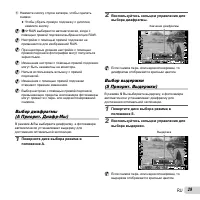 Страница 29
