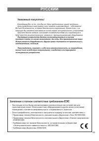 Страница 43
