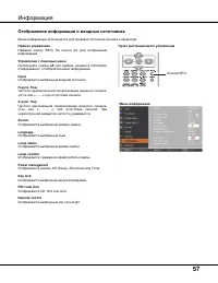 Страница 57