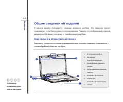 Страница 31
