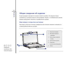 Страница 31