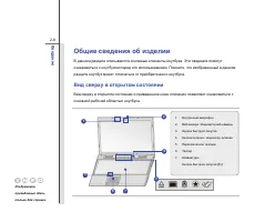 Страница 30