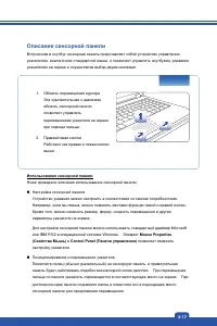 Страница 43