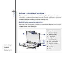 Страница 31