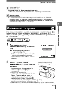 Страница 43