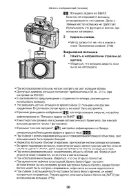 Страница 36