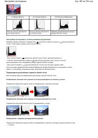 Страница 487