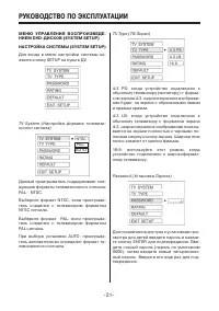 Страница 21