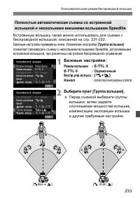 Страница 233