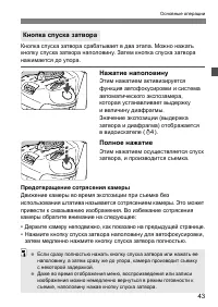 Страница 43
