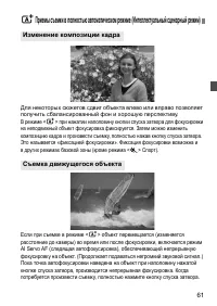 Страница 61