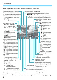 Страница 24
