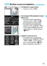 Страница 43