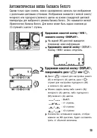 Страница 53