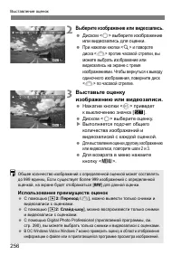 Страница 256