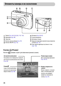 Страница 36
