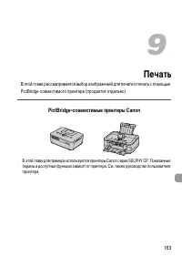 Страница 163