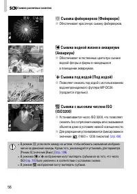 Страница 56