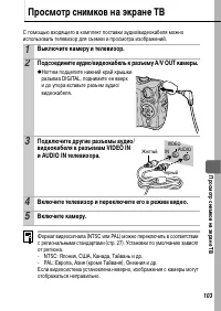Страница 105