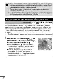 Страница 42