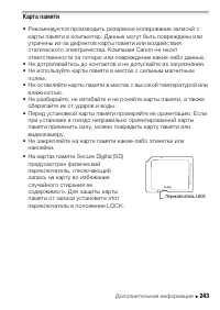Страница 243