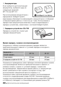 Страница 250