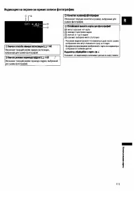 Страница 111