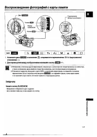 Страница 117