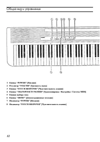 Страница 12
