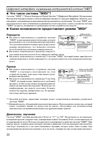 Страница 22