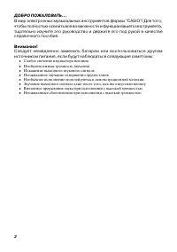 Страница 2