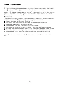 Страница 2