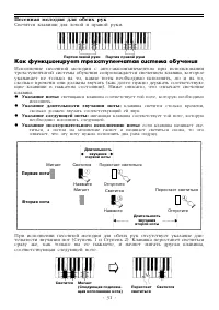 Страница 31