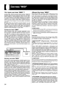 Страница 24