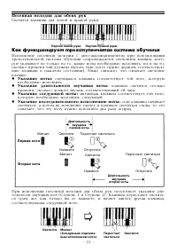 Страница 31
