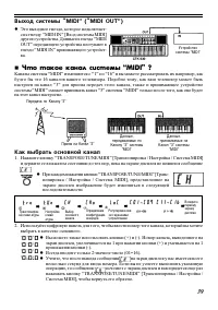Страница 39