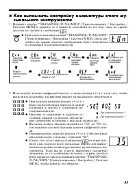 Страница 43