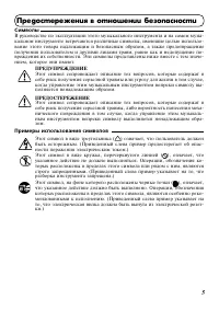 Страница 5