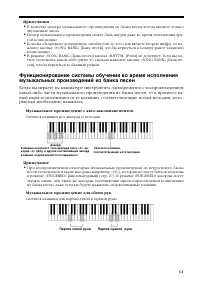 Страница 33