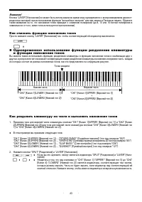 Страница 43