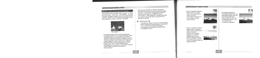 Страница 55