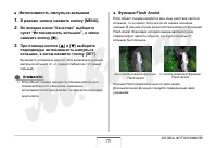 Страница 75