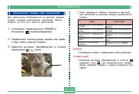 Страница 113