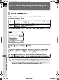 Страница 231