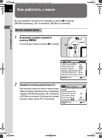Страница 31