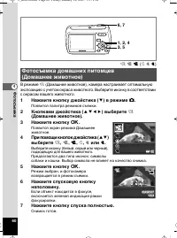 Страница 61
