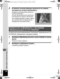 Страница 257