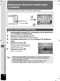 Страница 161